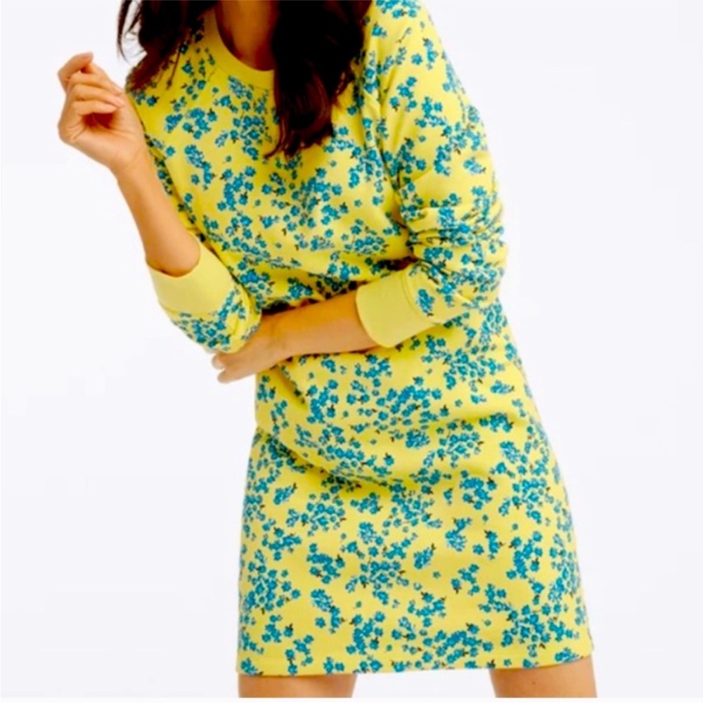NWOT Draper James Natalie Sweatshirt Dress in Cherry Blossom